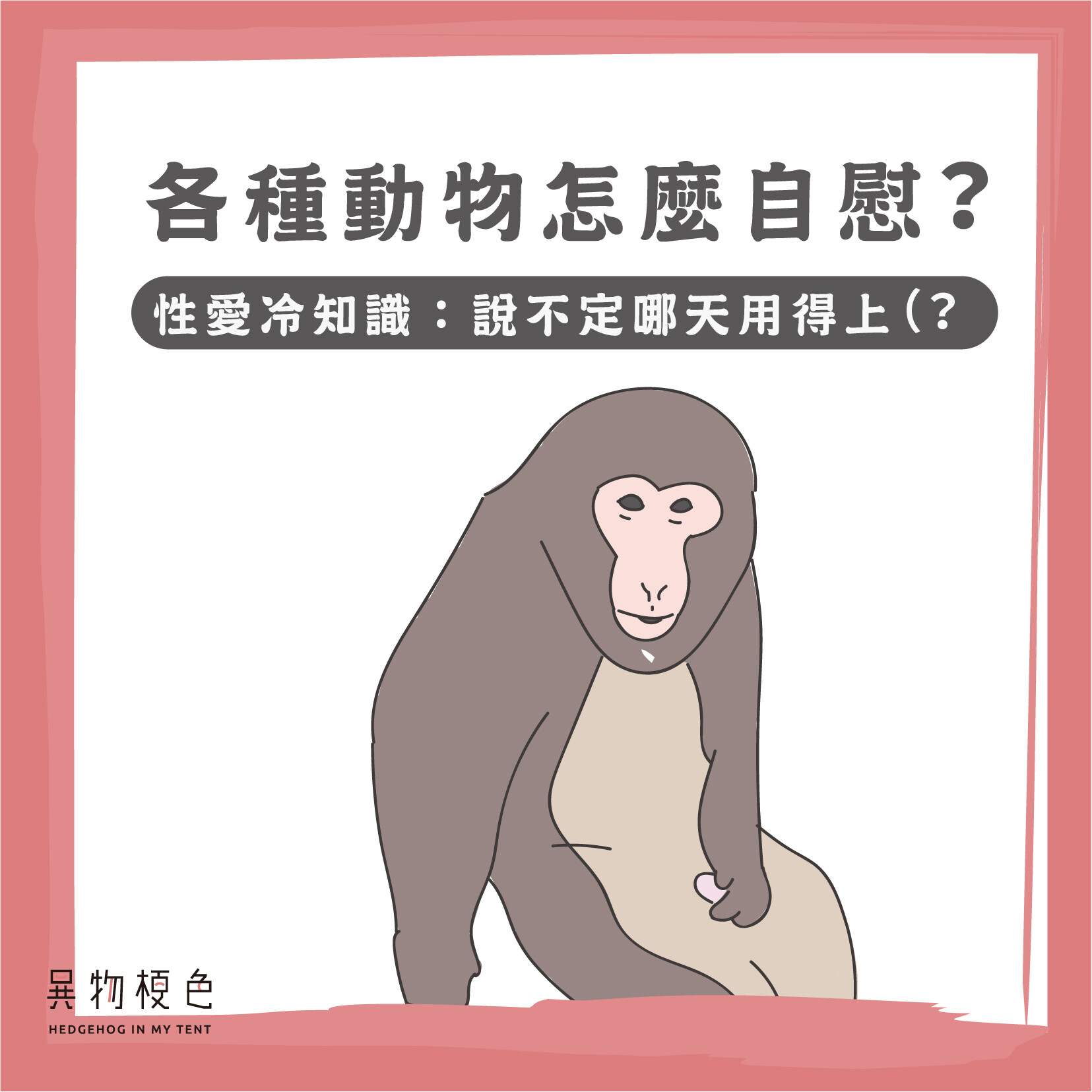 動物自慰-113|499x499